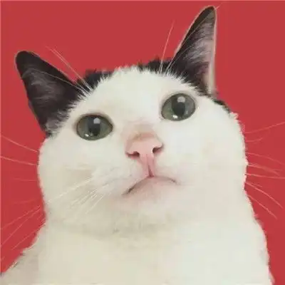 超萌猫咪情头一对两张做你的喵星人