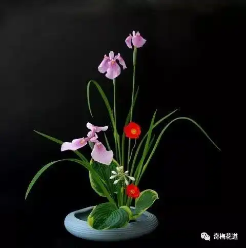 道系头像图片花