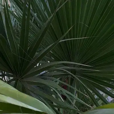 高级感朋友圈背景ins治愈系