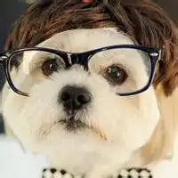 2017微信呆萌头像男生微信头像图片大全