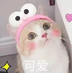 萌宠头像跟我在一起吧