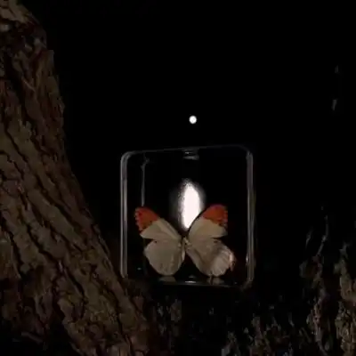 有没有描写孤独的句子