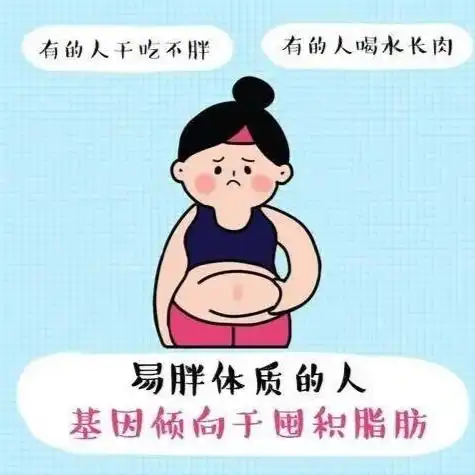 胖达图片卡通头像易胖体