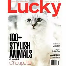 老佛爷去世了,但他竟然想让猫继承遗产