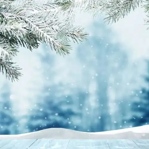 本色山人九九消寒诗