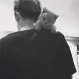 猫控韩系男神暖男冷色系怀旧街拍个堆糖,美好生活研究所