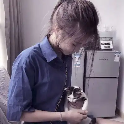 抱猫女头像,抱猫咪的仙气女生头像3