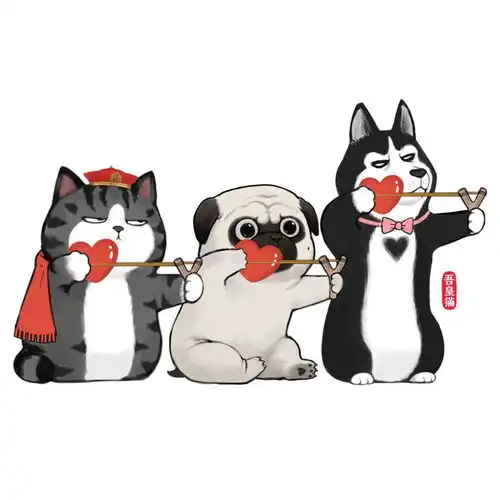 逛书博读好书吾皇猫的成长之旅不论几岁,开心万岁白茶读者见面会,7月27日山东书城等你来