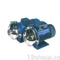 全316l不锈钢端吸泵lowaraco系列