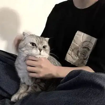 猫系头像男真人猫系男