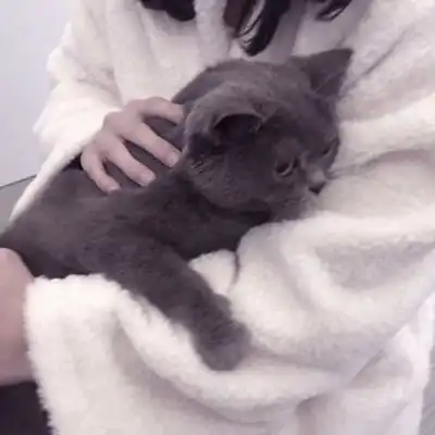 温柔抱猫部位闺蜜头遇到那么多女生头像我要个性网