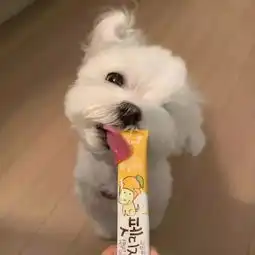 萌系头像向可爱势力低头