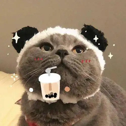 头像你要快乐,不必正常