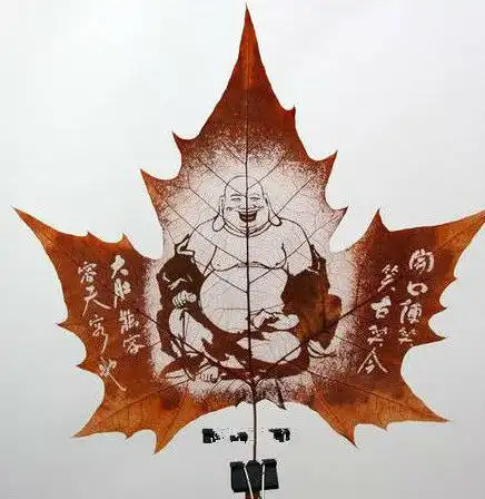 一片树叶呈现出的别样风景