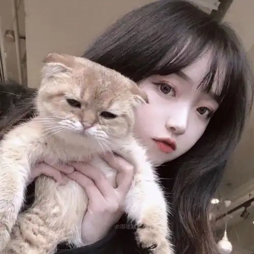 猫系女人图片动漫头像
