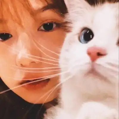 头像女ins风动漫小众小