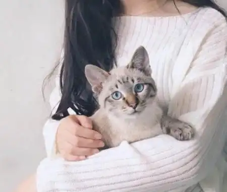 当你抱起猫咪时,你知道它在想什么吗