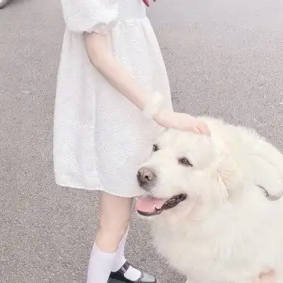 二人情侣专属头像可爱系