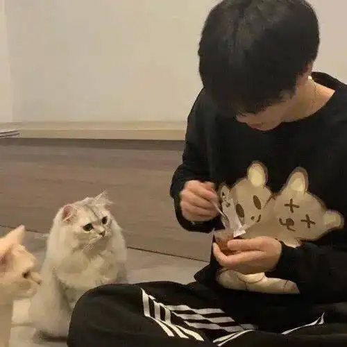 巨巨巨高质量的ins头像