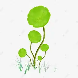 手绘卡通植物树叶素材图片免费下载高清psd千库网图片编号11496170