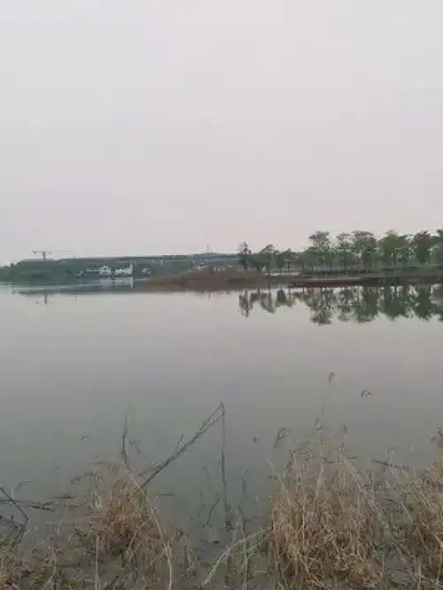 一起享受大自然的美治愈系风景花的世界很美