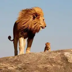 126款微信头像,总有一款是你的内心