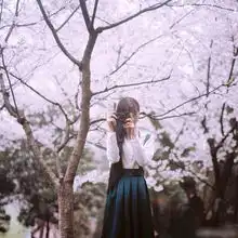 武大女神赏樱照盘点唯美樱花与美人