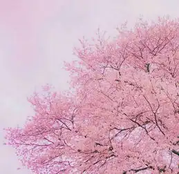 不如两清做甲乙丙丁