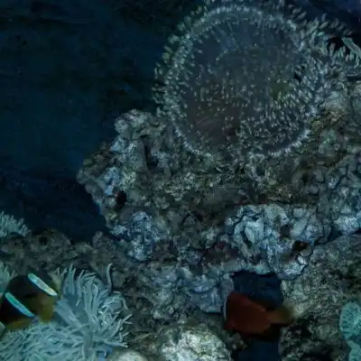 于泽海洋世界蓝色意境唯美背景风景静物头像我要个性网