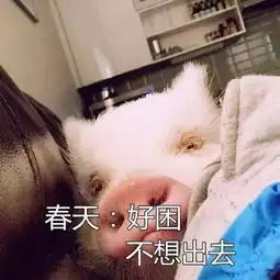 那些女生不想出门的理由,你中了几条