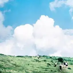 小清新女生头像