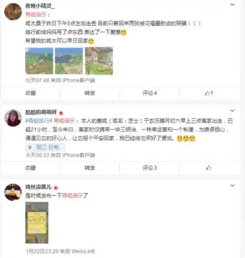 旅行青蛙这只佛系呱火了,原来它爹是恋与制作人的李泽言