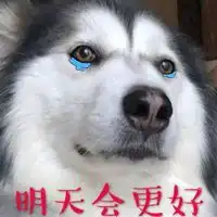 小奶狗头像男超萌小奶狗可爱头像