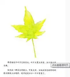 一片叶子落下来告诉孩子关于生命的故事