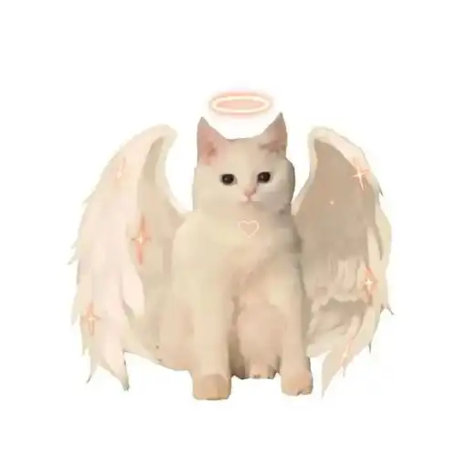 就算我长成巨巨巨巨猫,我也还是要麻麻抱的宝宝