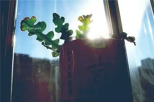 回头发现,身体健康才是一切组图