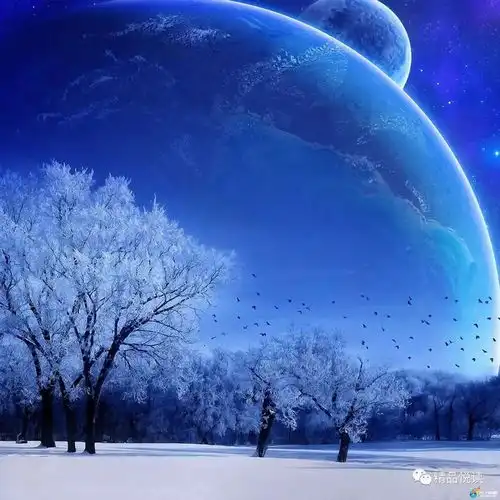 暗香,点燃了梦文季俊群巴西