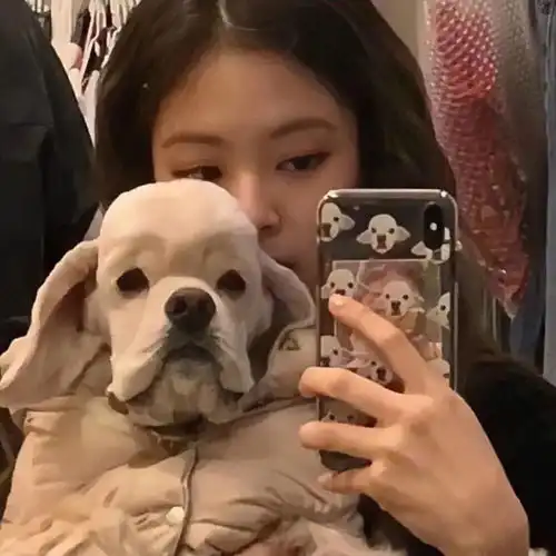 一眼就会爱上的女生头像