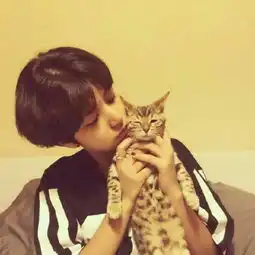 女生头像男生头像中日韩小清新猫猫狗狗堆糖,美好生活研究所