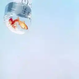 也许你我终将行踪不明