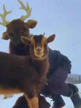 灰色头像2442的头条主页今日头条