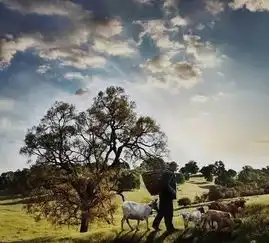 厉害了达州这4个村入选四川百强名村
