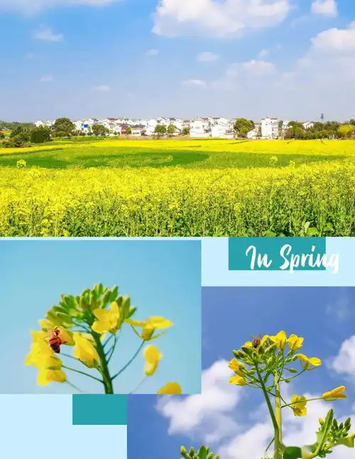 美出圈是时候去高淳了