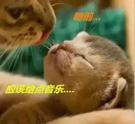 萌宠宝宝内涵搞笑图片