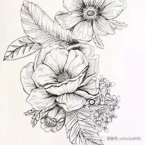 好画好学还好美的手绘,自带仙气的少女线稿掌握它对于你的线条帮助很大