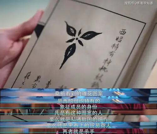 国子监来了个女弟子爹系男友卓文远是反派,桑祈受伤和他有关