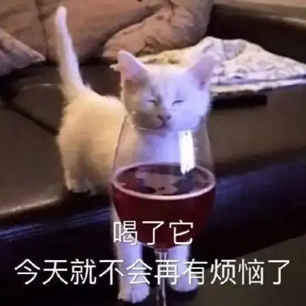 这才是猛男该看的猫片儿