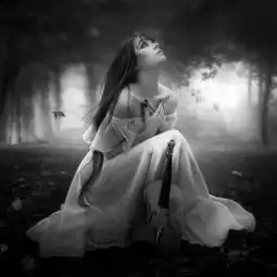 谁能帮我找一张类似的图片