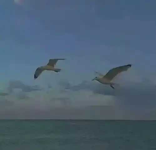 蓝色系qq头像壁纸,各种壁纸