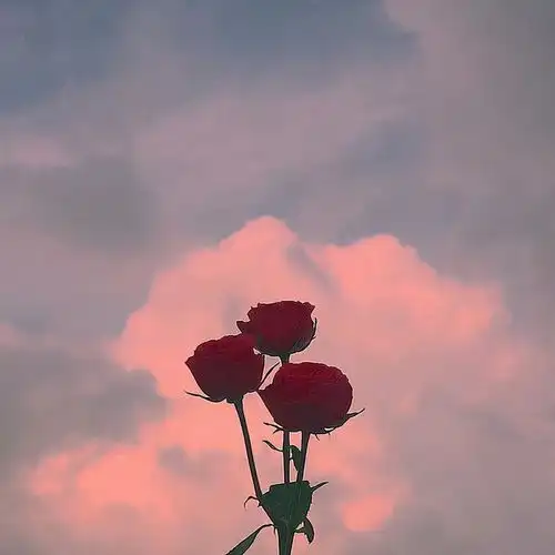 让人一眼沦陷的文艺且深情的情话我为你翻山越岭,却无心看风景